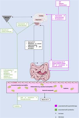 Bi-Directionality of the Microbiota-Gut-Brain Axis in Patients With Functional Dyspepsia: Relevance of Psychotherapy and Probiotics